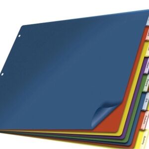 Colorful Tabbed File Dividers